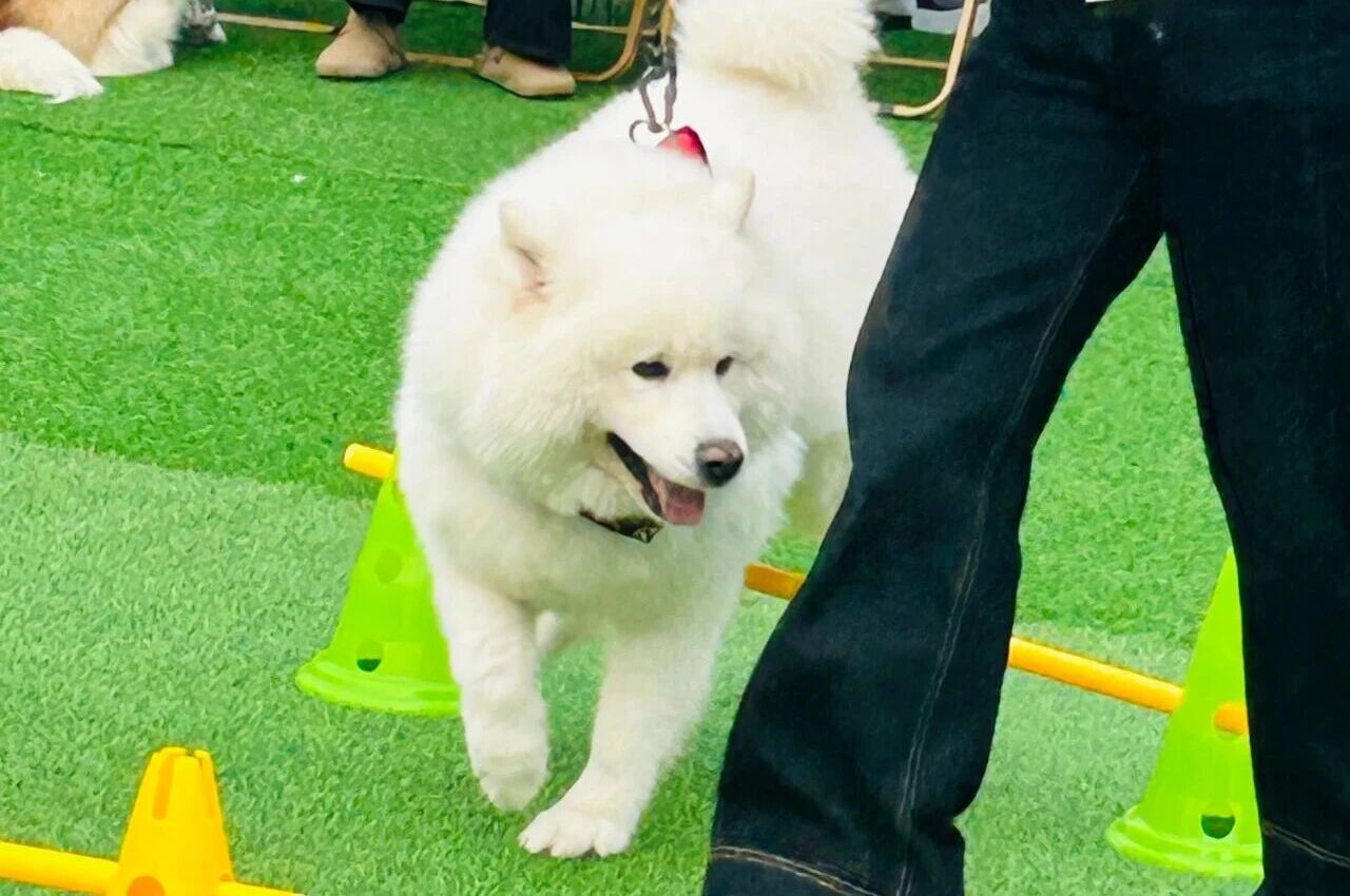 亿万28 - 相信品牌的实力