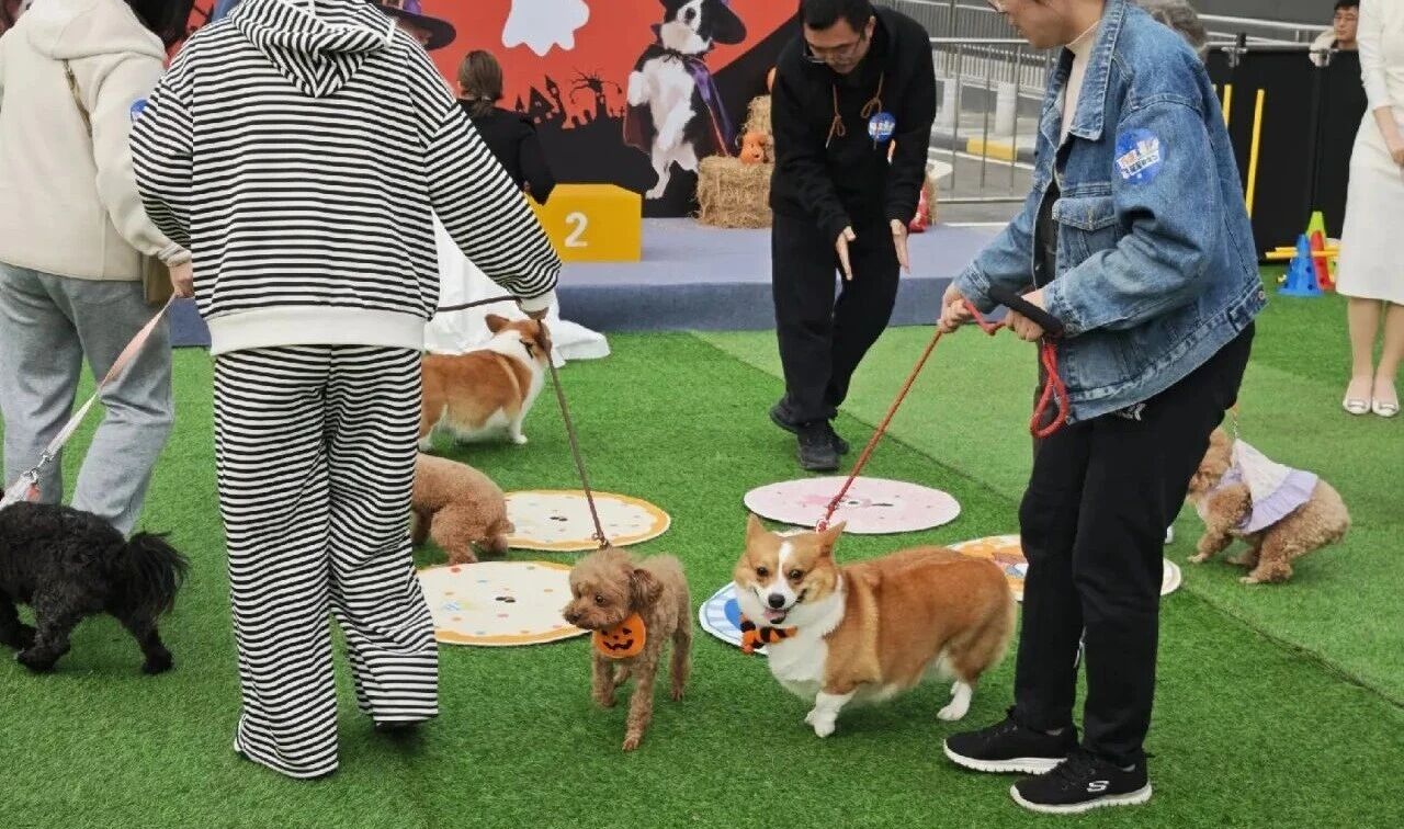 亿万28 - 相信品牌的实力